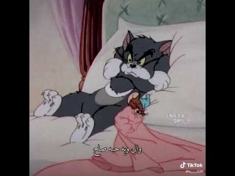 حيل بيه استاهل اني