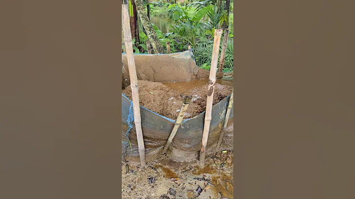 Cow Dung Collection in Villages | Organic Fertilizer from Cow Waste #shorts