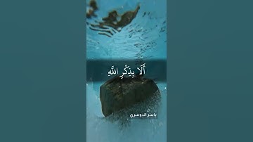 الشيخ القارئ : ياسر الدوسري      السورة : الرعد    الآيات : 28-29