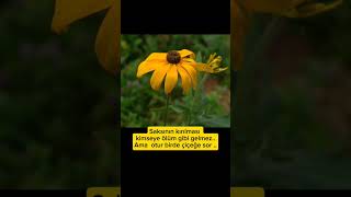 Otur Birde Çiçeğe Sor ..