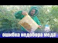 Недобор меда и роение пчел как решить эту проблему начинающему пчеловоду