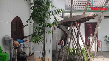 Cửa đi 04 cánh xếp lưới chống muỗi Bình Minh