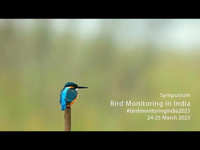 Historical Resurveys for Bird monitoring Mini-symposium Session 2