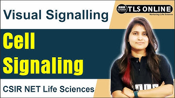 Visual Signalling  | Cell Signaling | CSIR NET Life Sciences | Shruti Shukla |
