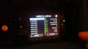 Sound Devices Folder Options and Sound Report Creation