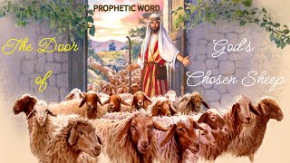 Prophetic Word: THE DOOR OF GOD&#39;S CHOSEN SHEEP