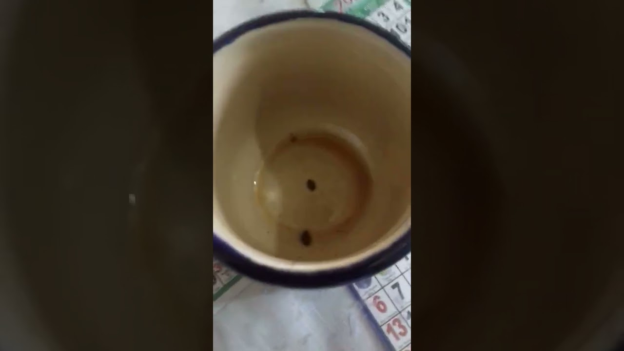 larvas en el café