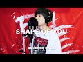Shape of You / Ed Sheeran ( cover by SG )