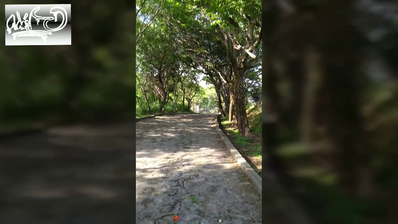 Alrededores del monasterio de Nuestra Señora de los Ángeles