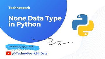 Python Tutorial - 10 None Data Type in Python