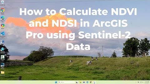 Creating NDVI & NDSI Rasters in ArcGIS