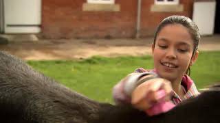 EXPLORERS 6 - unit 2 video 1
