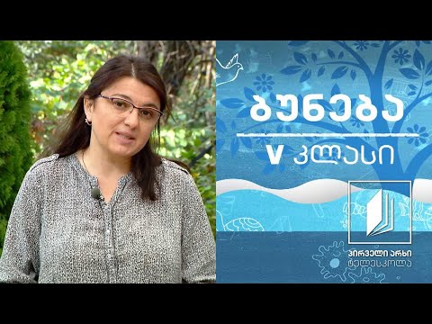 ბუნება V კლასი - ზრუნვა შთამომავლობაზე #ტელესკოლა