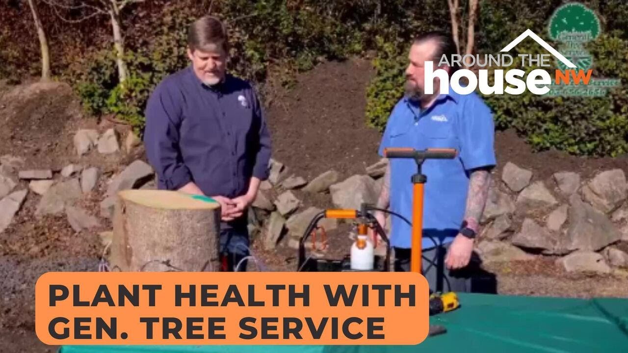 General Tree Service - YouTube
