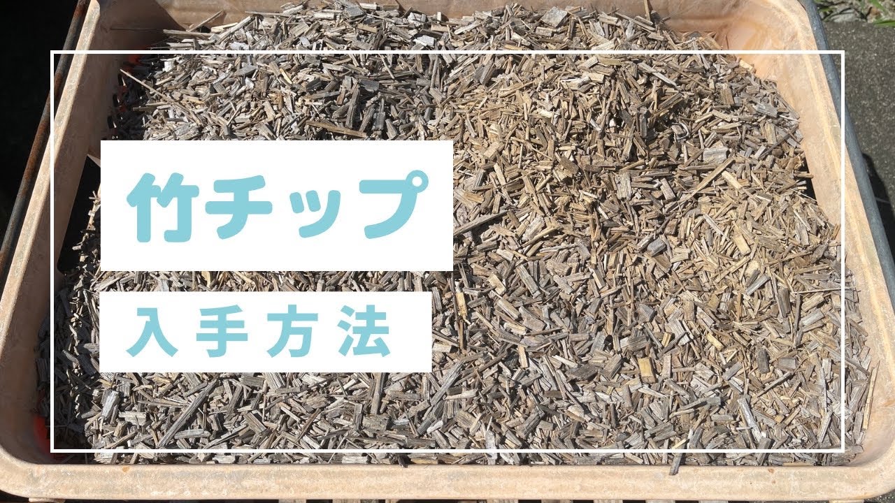 竹チップ 1kg/40円 maxresdefault.jpg