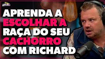 imagem do youtube