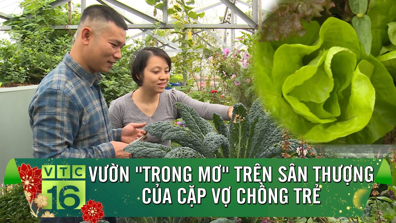 Outline Video Khu vườn trong mơ của cặp vợ chồng thủ đô | VTC16
