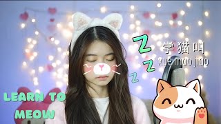 Video thumbnail of "学猫叫 Xue Mao Jiao ( Learn to Meow ) CHN/JPN/KOR ver | Shania Yan"