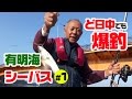 #1 有明海で餌釣り！シーバス爆釣編 の動画、YouTube動画。