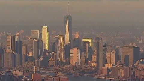 8 omicron cases detected in New York City