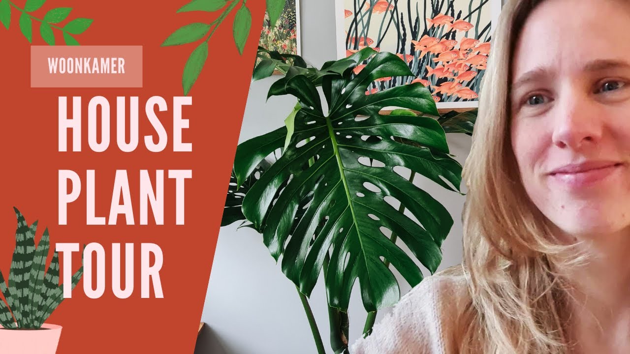 Houseplanttour woonkamer -