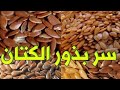 فوائده بذور الكتان للشعر