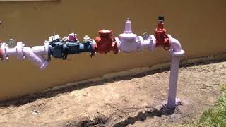 IMG 4853