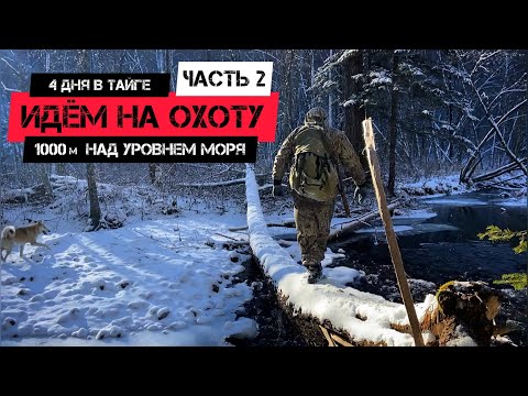 Видео: В тайгу на 4 дня | Часть 2 | Зимняя охота в лесу с собаками | Поход в горы в поисках зверя