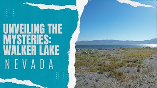 Exploring the Past: The Fascinating History of Walker Lake, Nevada