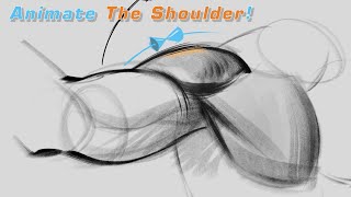 Animated Anatomy, The Shoulder FORCE  Friday 170