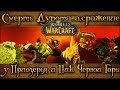 World of Warcraft - Смерть Дуротана,сражение у Приозерья и Пик Черной горы