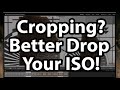 Cropping? Better Drop Your ISO!