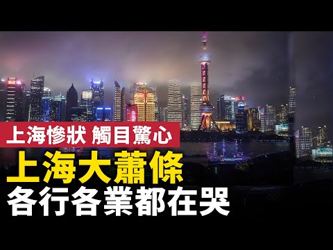 上海已死，開埠以來從沒有過的蕭條！上海各行各業都在哭！  #人民報