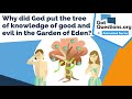 Why did god put the tree of knowledge of good and evil in the garden of eden    gotquestionsorg