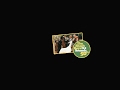 TheBeachBoysVEVO Live Stream