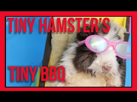 Ep. 8 - Tiny Hamster's Tiny BBQ at 4th July - Tiny BBQ Feast