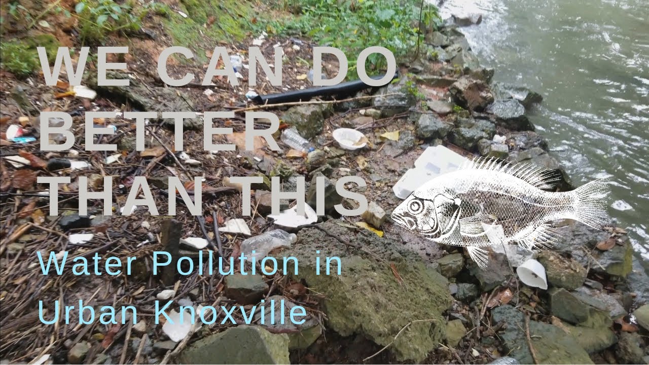 Urban Water Pollution Second Creek, Knoxville, Tennessee YouTube
