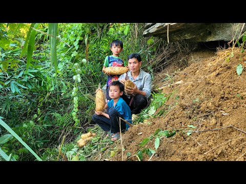 The boys dug up yams to sell for money and cook together. takes place every day