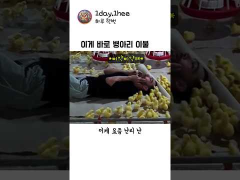 누워만 있어도 힐링 되는 곳 thumbnail