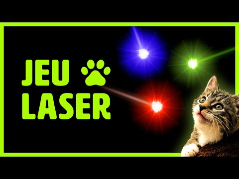 Jeu pour chat sur écran : LE LASER ! Vidéo pour amuser chats et chaton