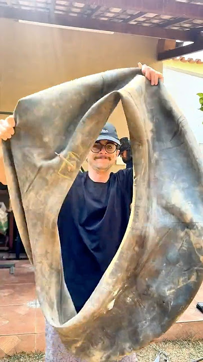 Awesome Bags from OLD Tyre Tubes 😳