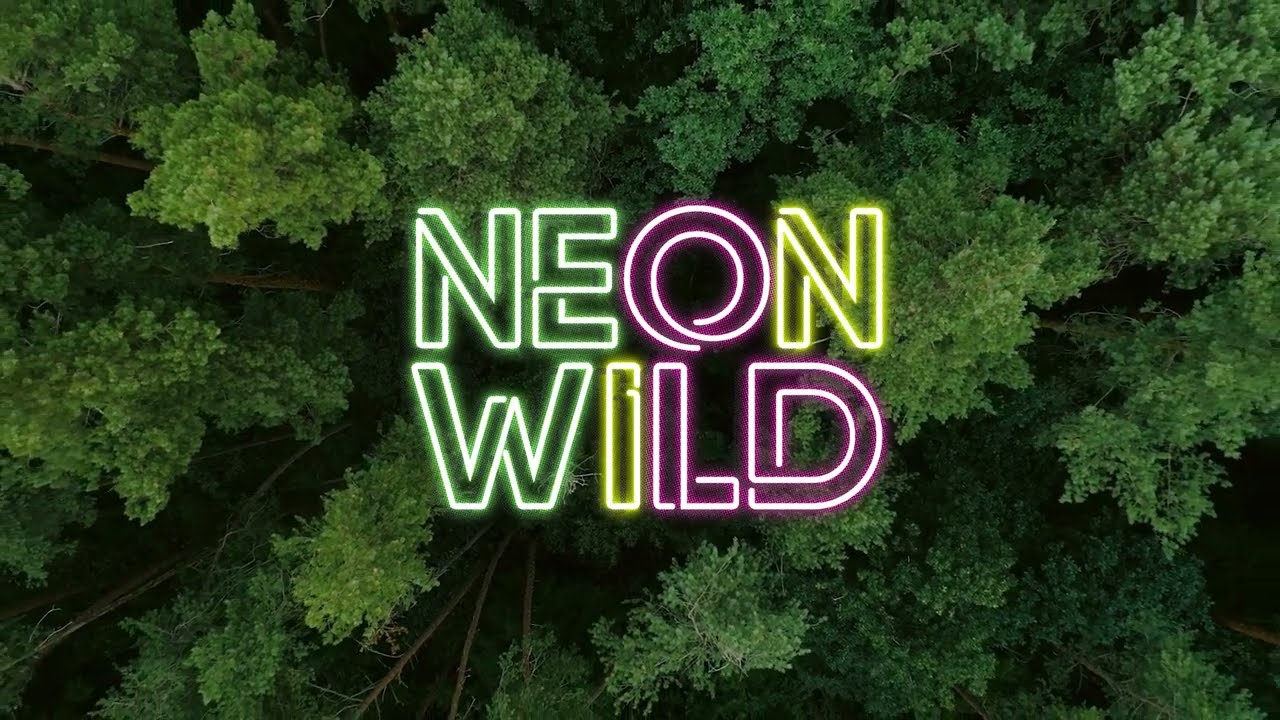 Neon Wild - You Shook Me All Night Long (AC/DC Cover)