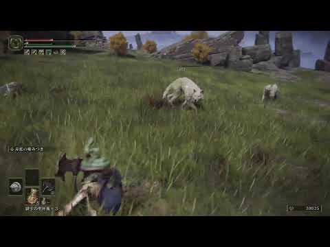 【エルデンリング本編】筋力と神秘のキャラを作りたくなってな·Part2