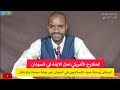 المقترح الأمريكي لحل أزمة السودان مصر تقدم تنازلات والبرهان يبدأ رحلة صيد الإسلاميين عبر سنجةوكردفان 