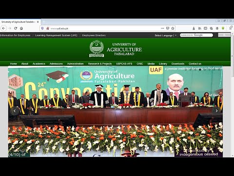 How to attempt Online Exam on LMS