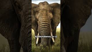 Vocab Voyage: The Synonym Safari #education #shorts #english Wealth