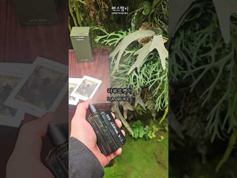 숲향 좋아하시면 추천🌲 | 라부르켓 향수도 좀 치네 La bruket