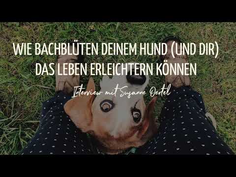 Podcast #18:  Wie Bachblüten deinem Hund und dir das Leben erleichtern können -  Susanne Oertel