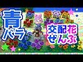 【とび森実況】お花の交配講座#2【青バラ含め全交配花紹介します】