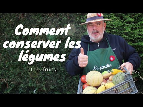 Vidéo: Conserver Le Radis En Hiver